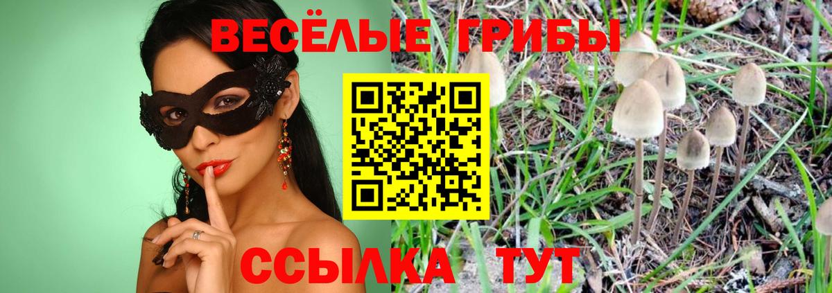 Галлюциногенные грибы Psilocybine cubensis  Вход с VPN  Галлюциногенные грибы ЛСД  Бузулук 