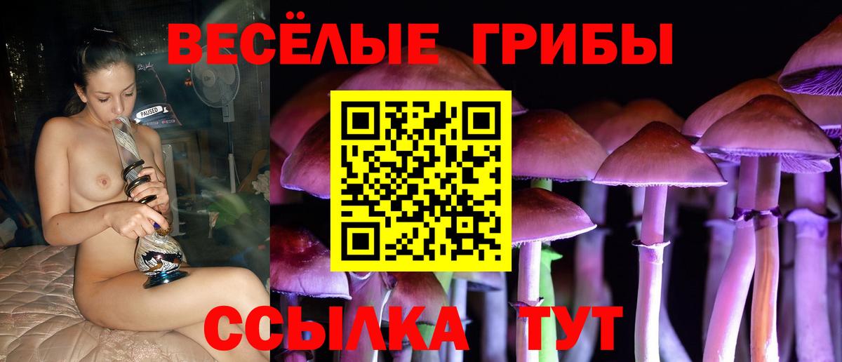 Псилоцибиновые грибы Magic Shrooms Бузулук